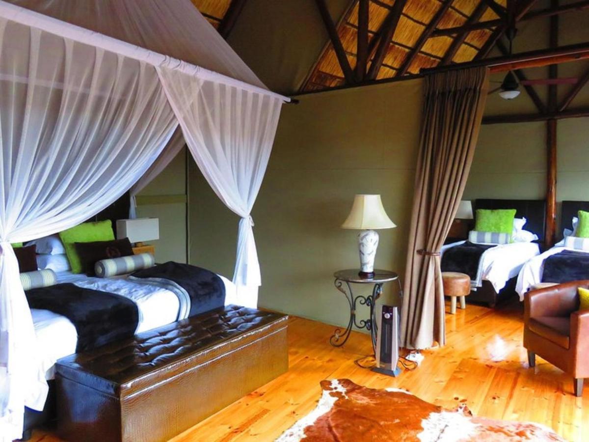 Bush Lodge - Amakhala viltreservat Exteriör bild