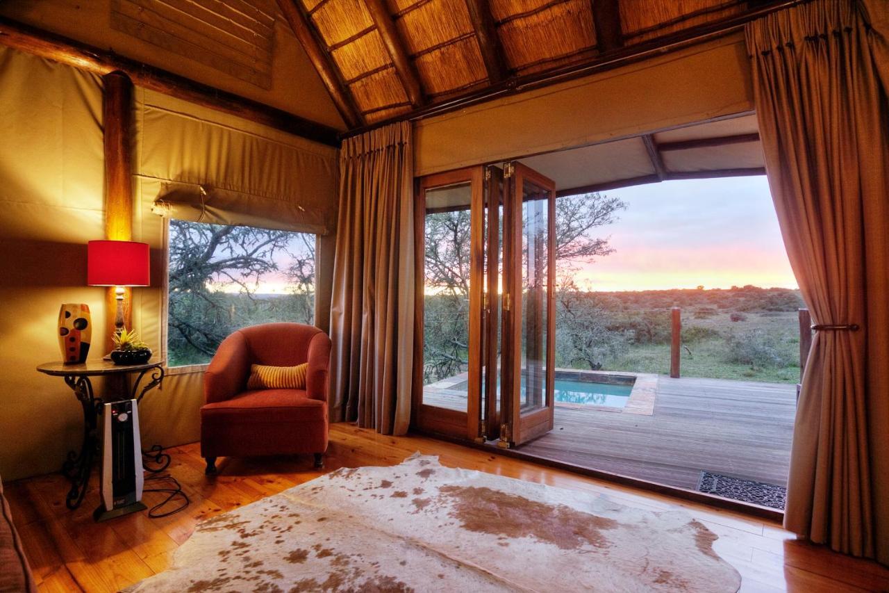 Bush Lodge - Amakhala viltreservat Exteriör bild