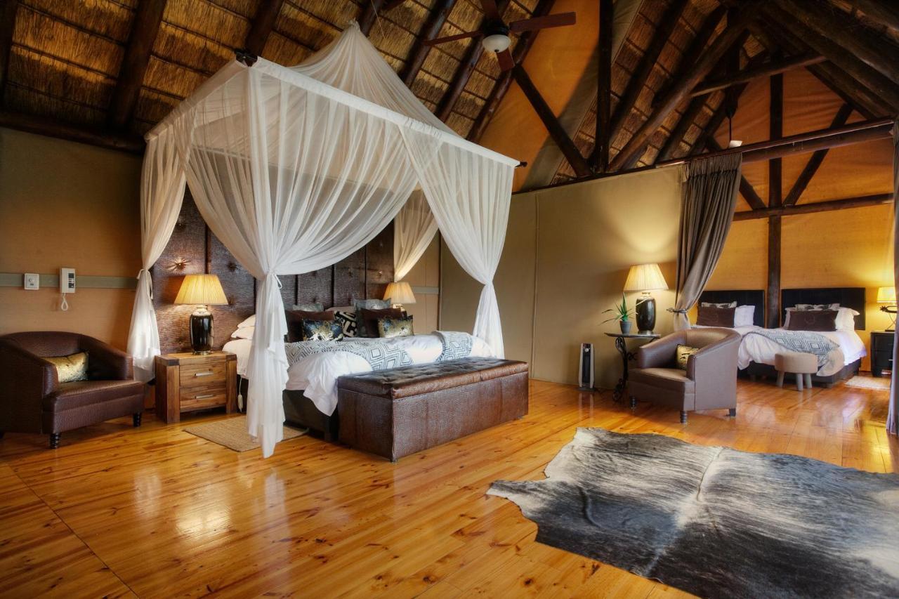 Bush Lodge - Amakhala viltreservat Rum bild