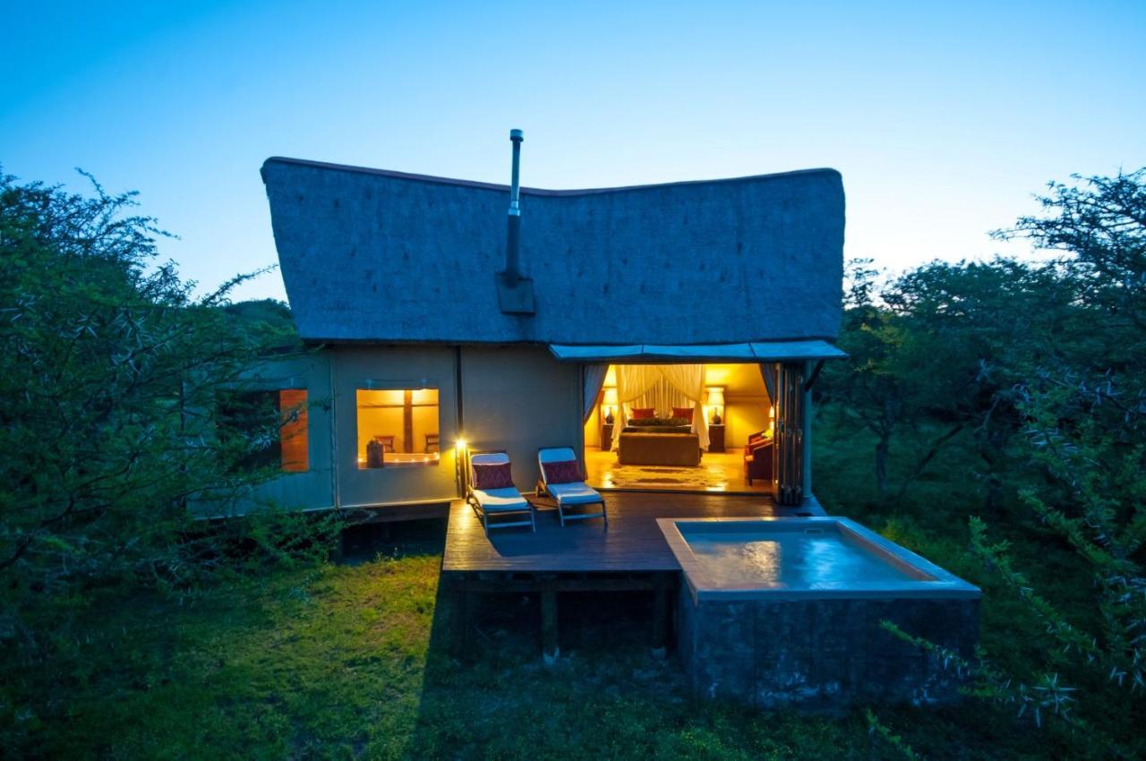 Bush Lodge - Amakhala viltreservat Exteriör bild
