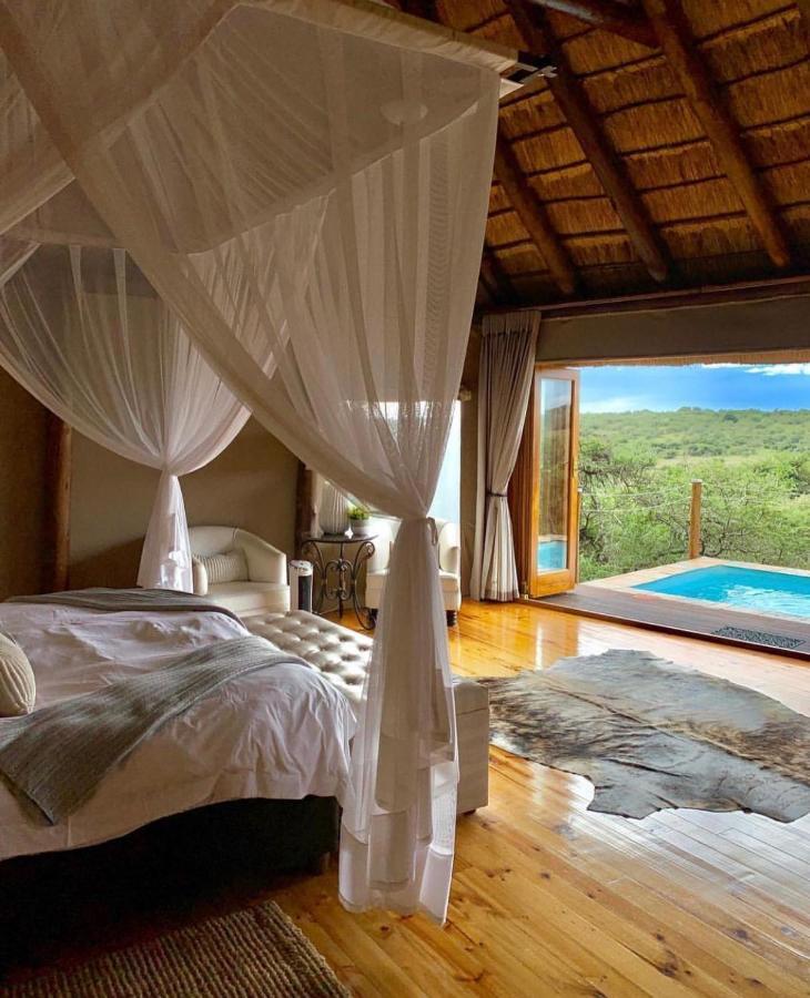 Bush Lodge - Amakhala viltreservat Exteriör bild
