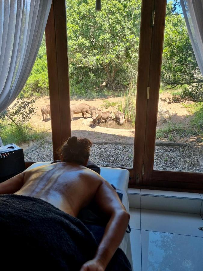 Bush Lodge - Amakhala viltreservat Exteriör bild