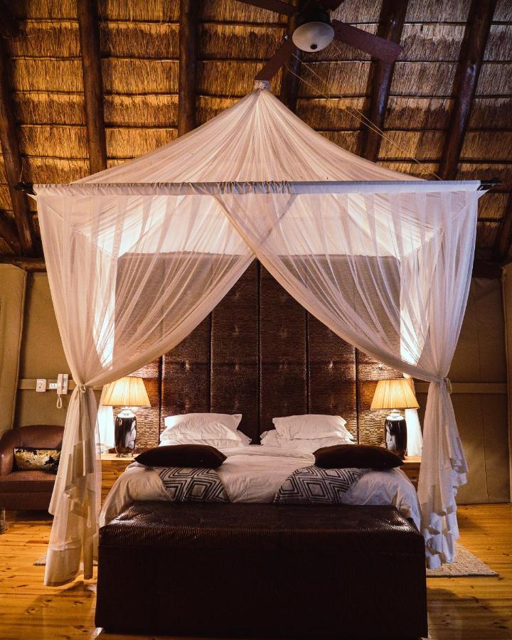 Bush Lodge - Amakhala viltreservat Exteriör bild