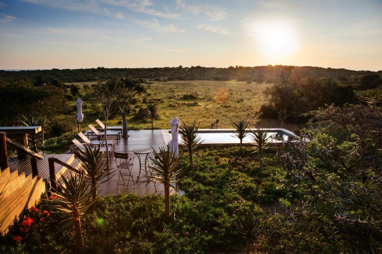 Bush Lodge - Amakhala viltreservat Exteriör bild