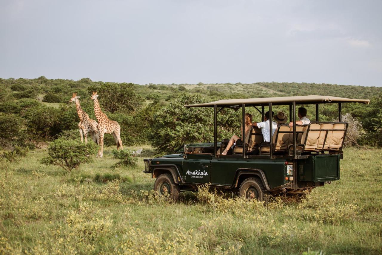 Bush Lodge - Amakhala viltreservat Exteriör bild