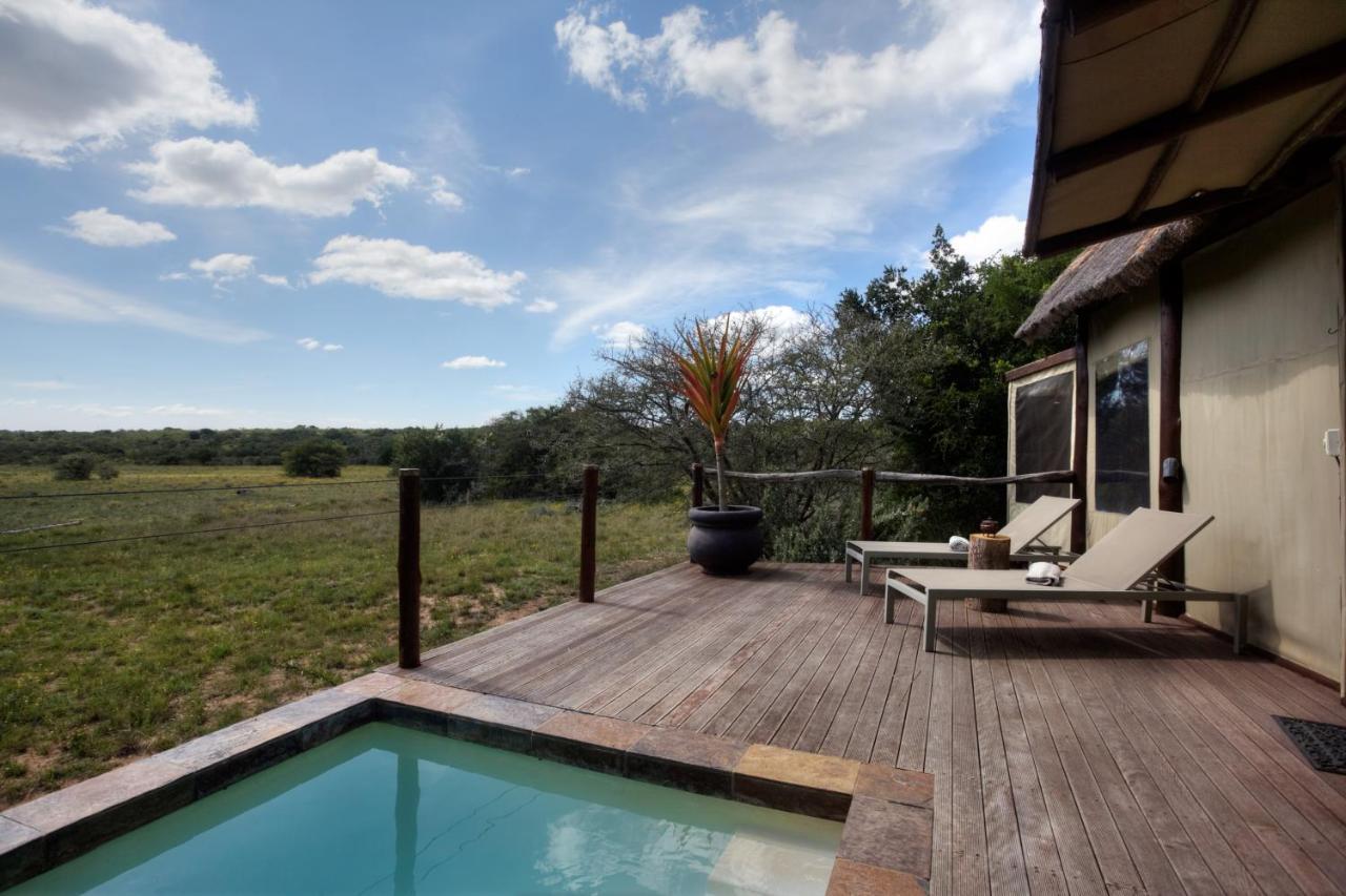Bush Lodge - Amakhala viltreservat Exteriör bild