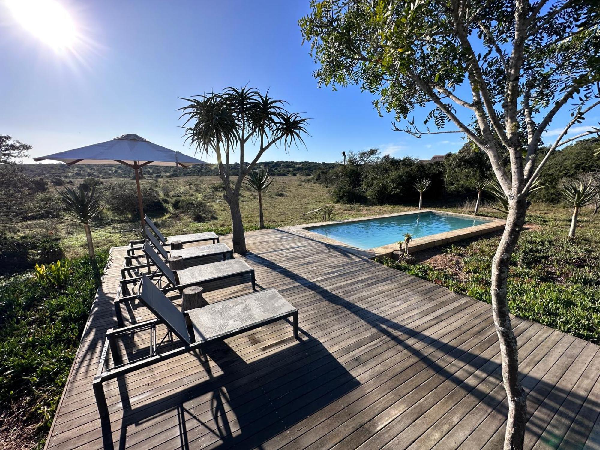 Bush Lodge - Amakhala viltreservat Exteriör bild