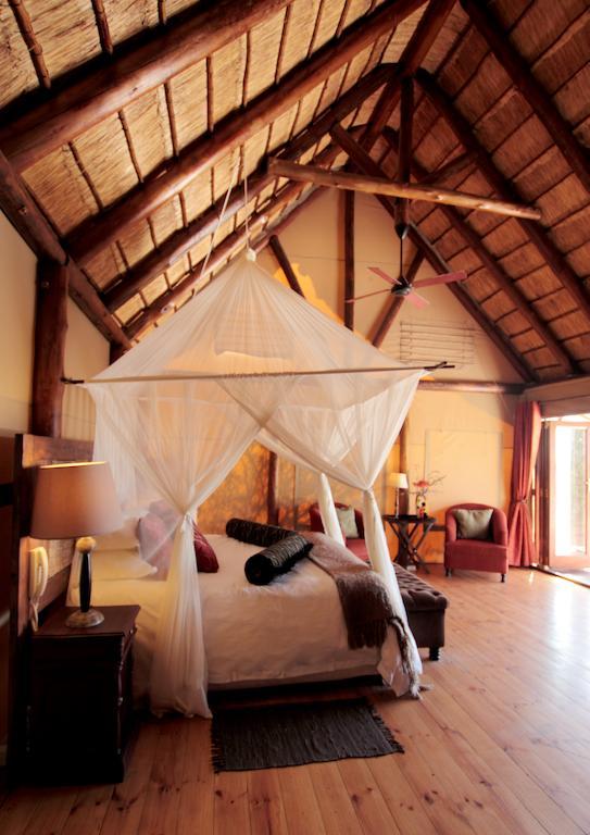 Bush Lodge - Amakhala viltreservat Rum bild