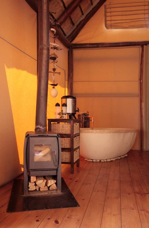 Bush Lodge - Amakhala viltreservat Rum bild