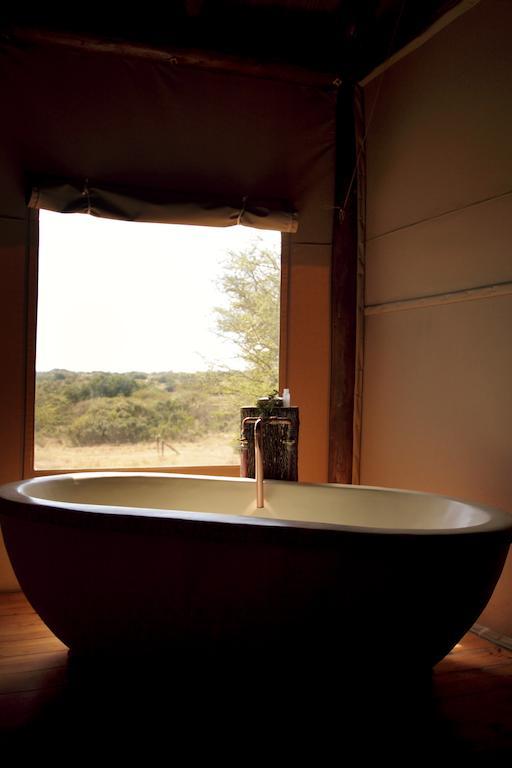Bush Lodge - Amakhala viltreservat Exteriör bild