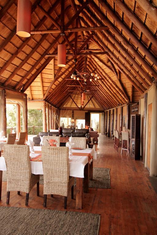 Bush Lodge - Amakhala viltreservat Exteriör bild