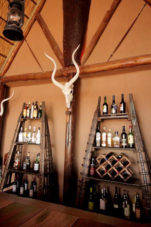 Bush Lodge - Amakhala viltreservat Exteriör bild