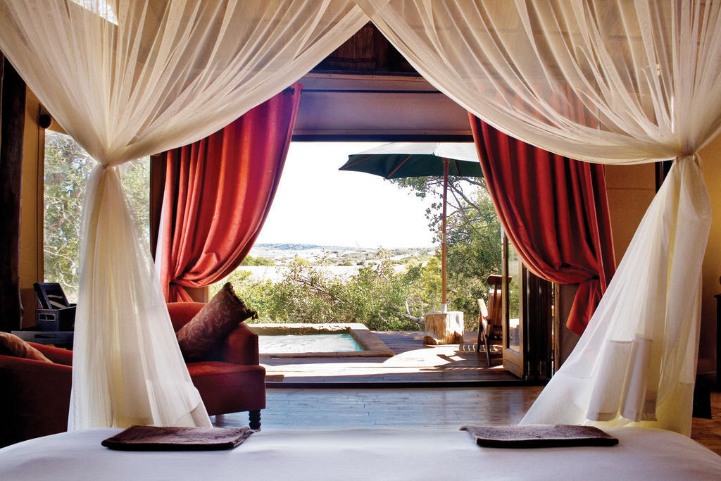 Bush Lodge - Amakhala viltreservat Rum bild
