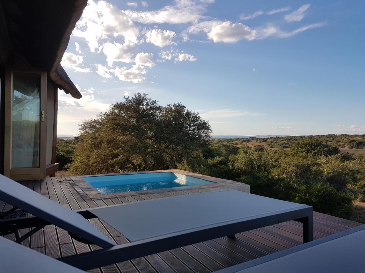 Bush Lodge - Amakhala viltreservat Exteriör bild